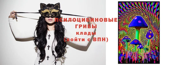 spice Алзамай
