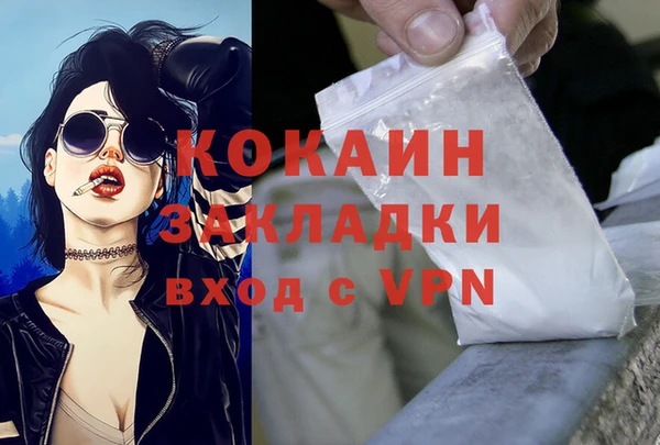 spice Алзамай